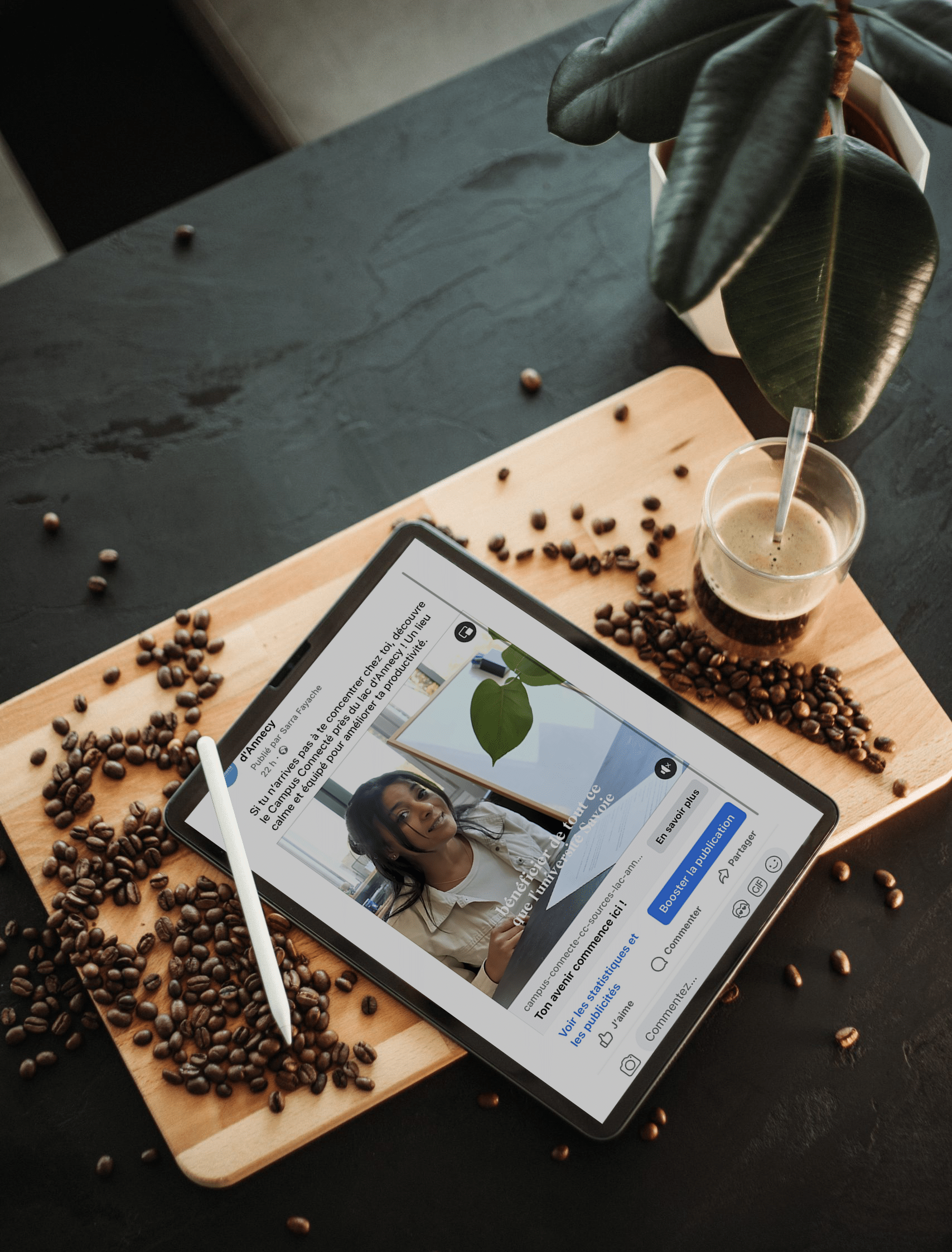Mockup Portfolio 3 Canefora