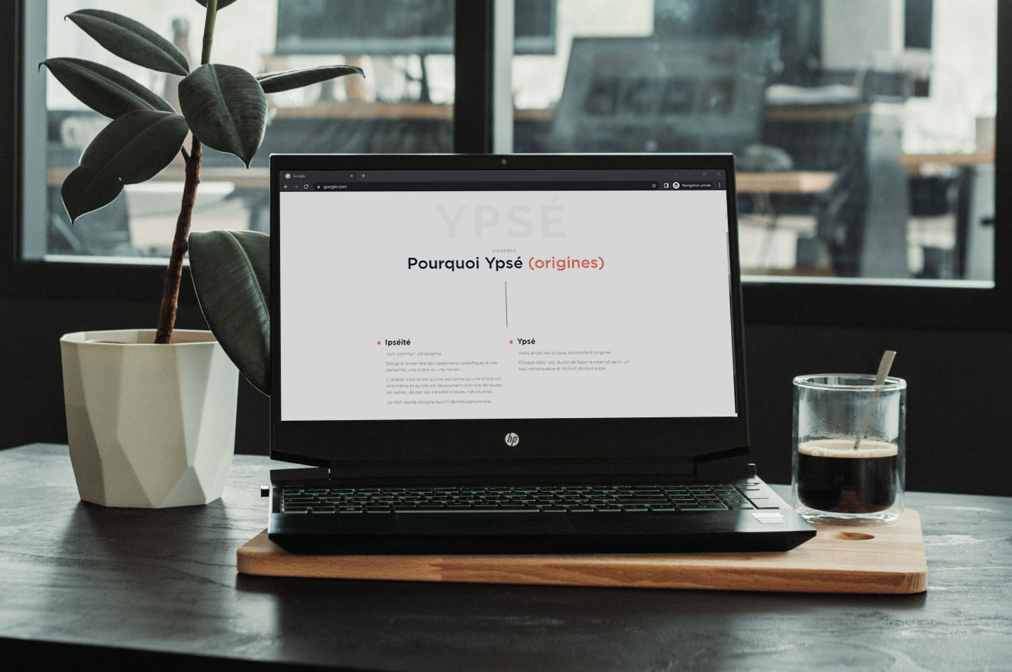 Ypse Portfolio 22 Canefora